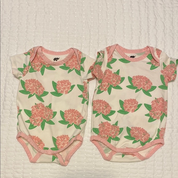 Pink and Green Floral Bodysuits - Picture 1 of 3